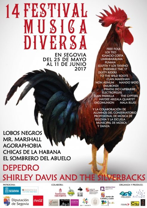 XIV Festival de música diversa de Segovia